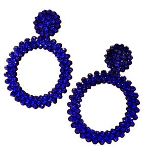 🎀NWT Blue Color Fashionista Loop Earrings